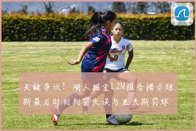 关键争议！湖人掘金L2M报告揭示琼斯最后时刻判罚失误与里夫斯罚球争议